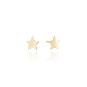 Brinco Estrela Flat Lisa Banho Dourado