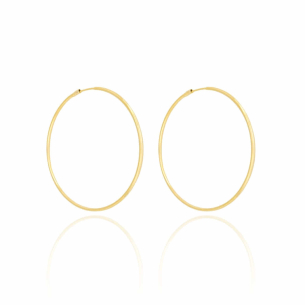 Brinco Argola Lisa Tubo Banho Dourado